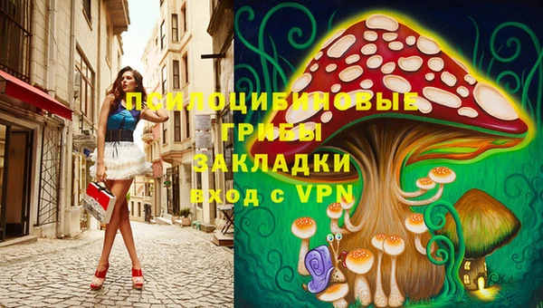 прущий лед Алексин