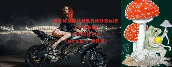 прущий лед Алексин